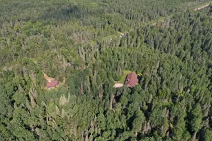 8124 Virginia Ely Rd, Babbitt, MN 55706 - Photo 9