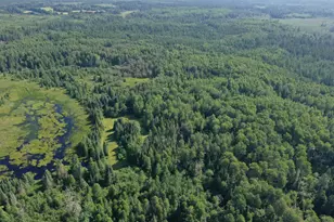 8124 Virginia Ely Rd, Babbitt, MN 55706 - Photo 5