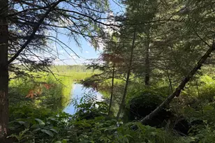 8124 Virginia Ely Rd, Babbitt, MN 55706 - Photo 87