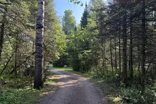 8124 Virginia Ely Rd, Babbitt, MN 55706 - Photo 75