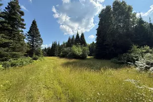 8124 Virginia Ely Rd, Babbitt, MN 55706 - Photo 89