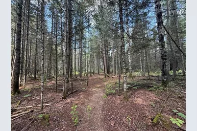 8124 Virginia Ely Rd., Babbitt, MN 55706 - Photo 85