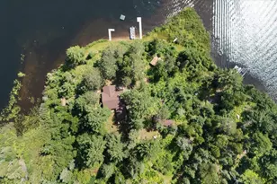 52000 Antler Lake Island Dr, Bigfork, MN 56628 - Photo 5