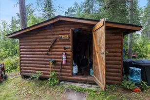 52000 Antler Lake Island Dr, Bigfork, MN 56628 - Photo 61