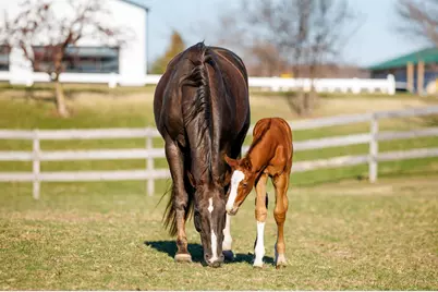 9685 County Road 13 SE, Delano, MN 55328 - Photo 203