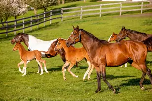 9685 County Rd 13 SE, Delano, MN 55328 - Photo 201