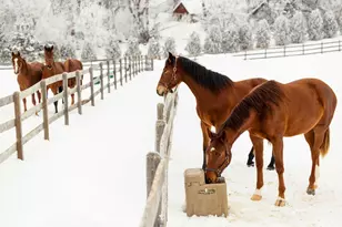 9685 County Rd 13 SE, Delano, MN 55328 - Photo 213