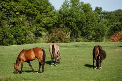 9685 County Road 13 SE, Delano, MN 55328 - Photo 217