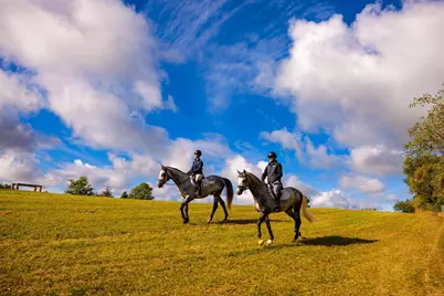 9685 County Road 13 SE, Delano, MN 55328 - Photo 209