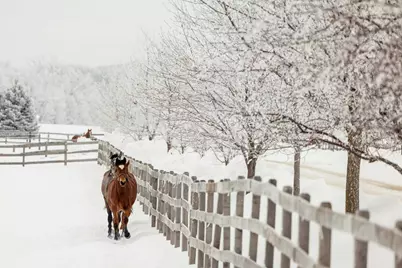 9685 County Road 13 SE, Delano, MN 55328 - Photo 215