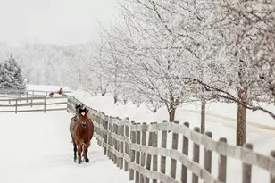 9685 County Rd 13 SE, Delano, MN 55328 - Photo 215