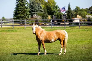 9685 County Rd 13 SE, Delano, MN 55328 - Photo 207