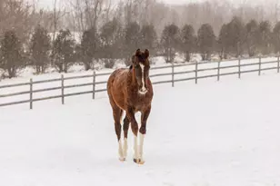 9685 County Rd 13 SE, Delano, MN 55328 - Photo 231
