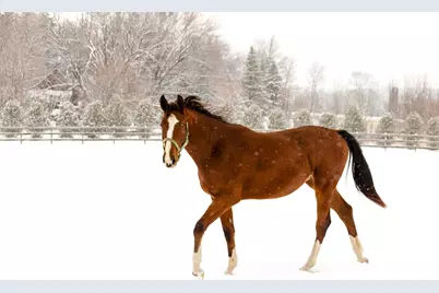 9685 County Road 13 SE, Delano, MN 55328 - Photo 221