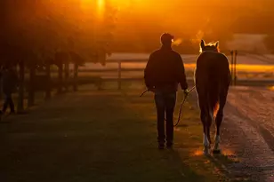 9685 County Rd 13 SE, Delano, MN 55328 - Photo 225