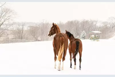 9685 County Road 13 SE, Delano, MN 55328 - Photo 217