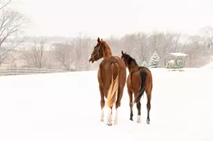 9685 County Rd 13 SE, Delano, MN 55328 - Photo 217