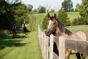 9685 County Rd 13 SE, Delano, MN 55328 - Photo 199