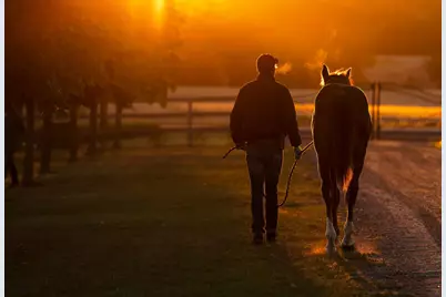9685 County Road 13 SE, Delano, MN 55328 - Photo 227