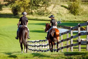 9685 County Rd 13 SE, Delano, MN 55328 - Photo 235