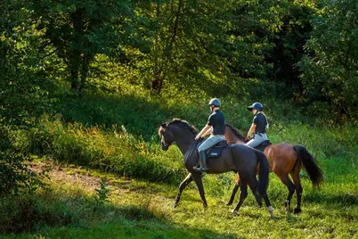 9685 County Road 13 SE, Delano, MN 55328 - Photo 233