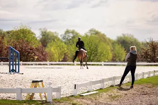 9685 County Rd 13 SE, Delano, MN 55328 - Photo 193