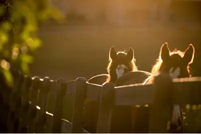 9685 County Road 13 SE, Delano, MN 55328 - Photo 225