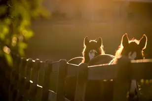 9685 County Rd 13 SE, Delano, MN 55328 - Photo 225