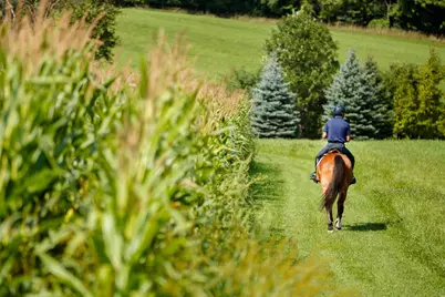 9685 County Road 13 SE, Delano, MN 55328 - Photo 223