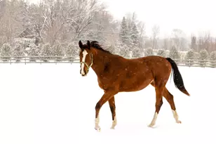 9685 County Rd 13 SE, Delano, MN 55328 - Photo 219