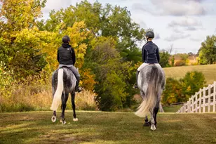 9685 County Rd 13 SE, Delano, MN 55328 - Photo 205