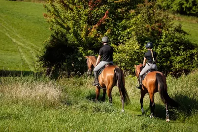9685 County Road 13 SE, Delano, MN 55328 - Photo 191
