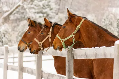 9685 County Road 13 SE, Delano, MN 55328 - Photo 203
