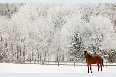 9685 County Road 13 SE, Delano, MN 55328 - Photo 227