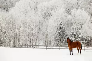 9685 County Rd 13 SE, Delano, MN 55328 - Photo 227