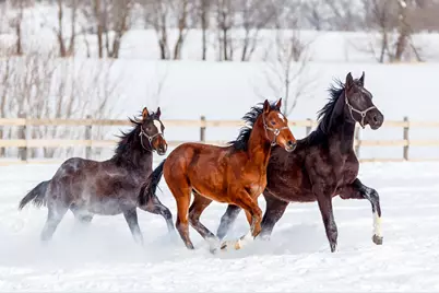 9685 County Road 13 SE, Delano, MN 55328 - Photo 201