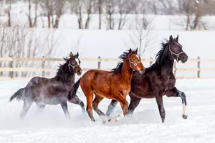 9685 County Rd 13 SE, Delano, MN 55328 - Photo 201