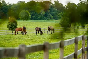 9685 County Rd 13 SE, Delano, MN 55328 - Photo 211