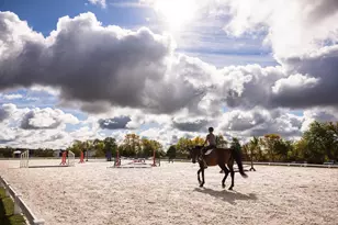 9685 County Rd 13 SE, Delano, MN 55328 - Photo 189