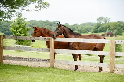 9685 County Road 13 SE, Delano, MN 55328 - Photo 195
