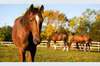 9685 County Road 13 SE, Delano, MN 55328 - Photo 215