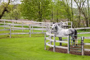 9685 County Rd 13 SE, Delano, MN 55328 - Photo 193