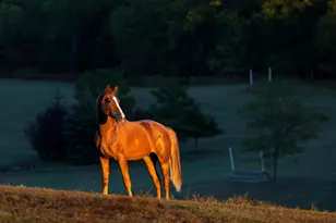 9685 County Rd 13 SE, Delano, MN 55328 - Photo 205