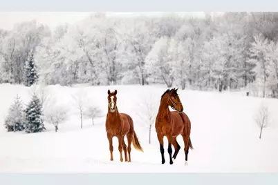 9685 County Road 13 SE, Delano, MN 55328 - Photo 209