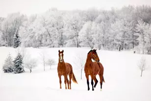 9685 County Rd 13 SE, Delano, MN 55328 - Photo 209