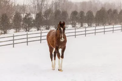 9685 County Road 13 SE, Delano, MN 55328 - Photo 229