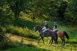 9685 County Rd 13 SE, Delano, MN 55328 - Photo 231
