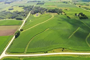 4459 130th St NW, Mazeppa, MN 55956 - Photo 21