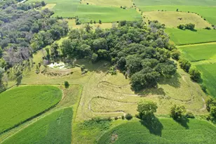 4459 130th St NW, Mazeppa, MN 55956 - Photo 23