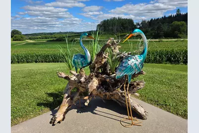 4459 130th Street NW, Mazeppa, MN 55956 - Photo 47